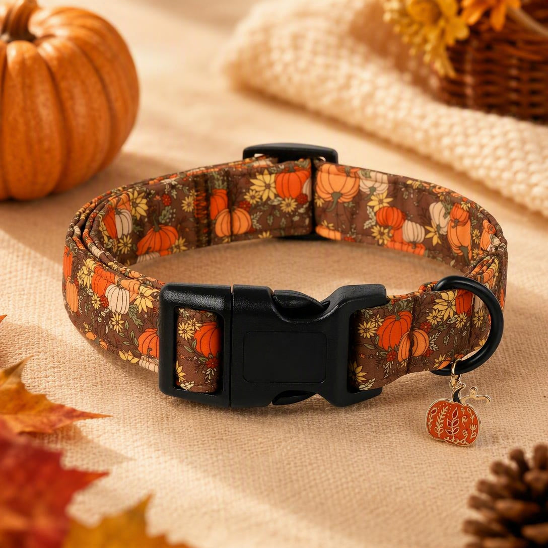 Fall Pumpkin Dog Collar
