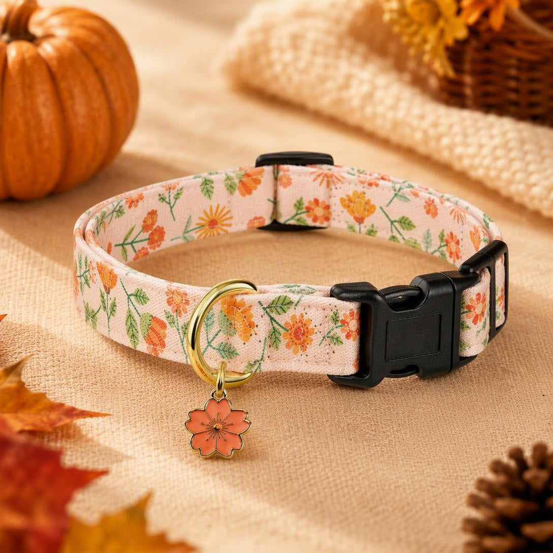 Peach Blossom Floral Dog Collar