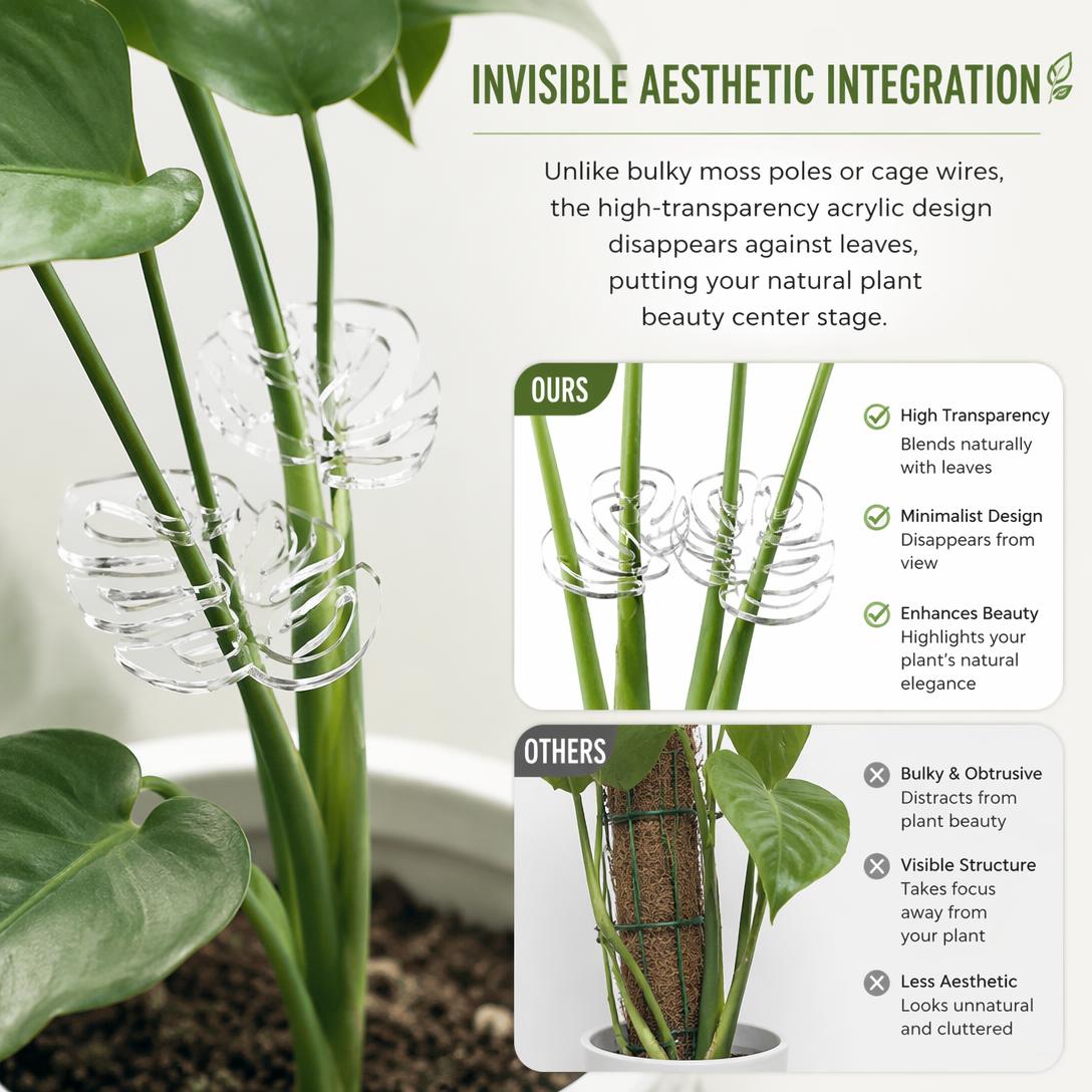 🌱Transparent Flexible Plant Support Clip