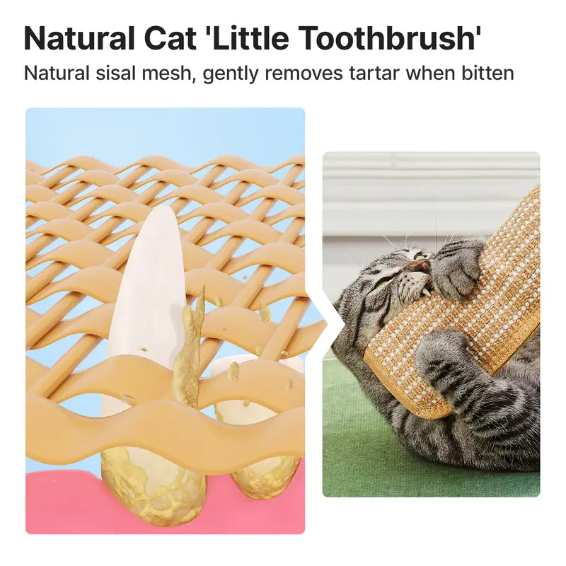 🐱💨 Interactive Catnip Chew Toy