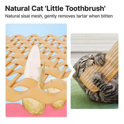 🐱💨 Interactive Catnip Chew Toy