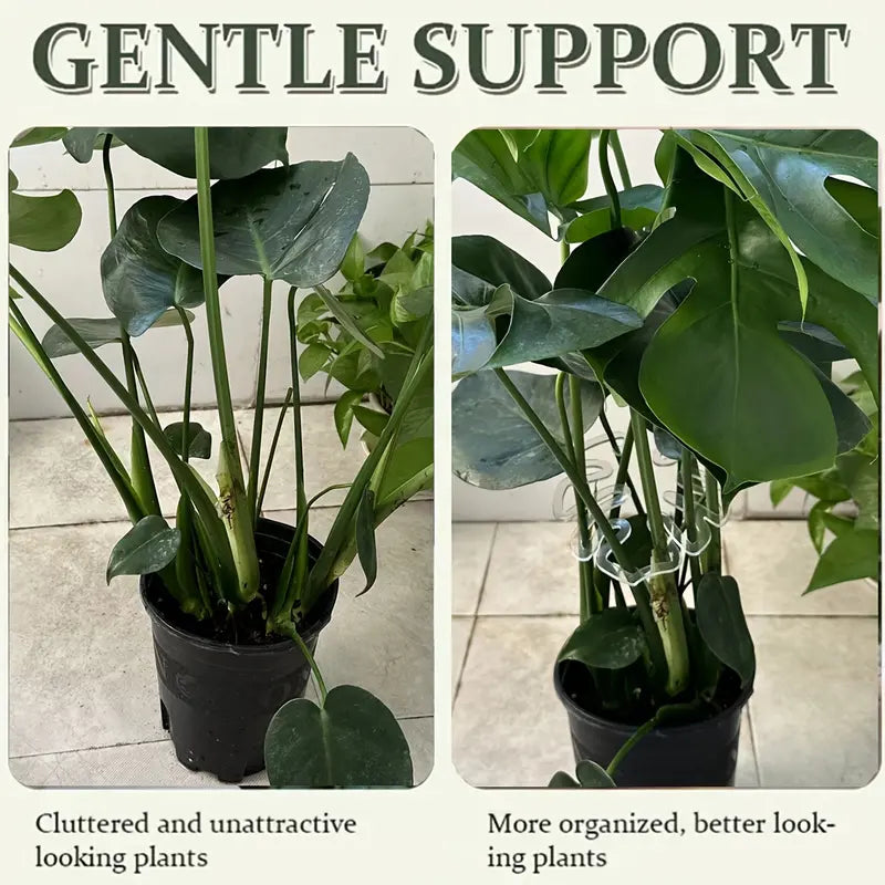 🌱Transparent Flexible Plant Support Clip