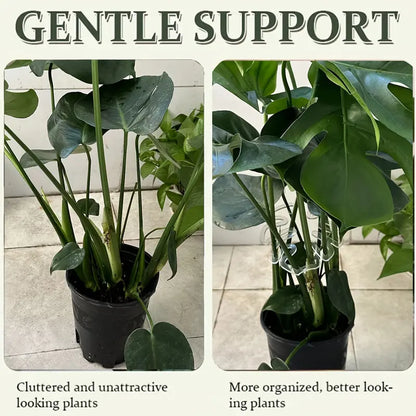 🌱Transparent Flexible Plant Support Clip