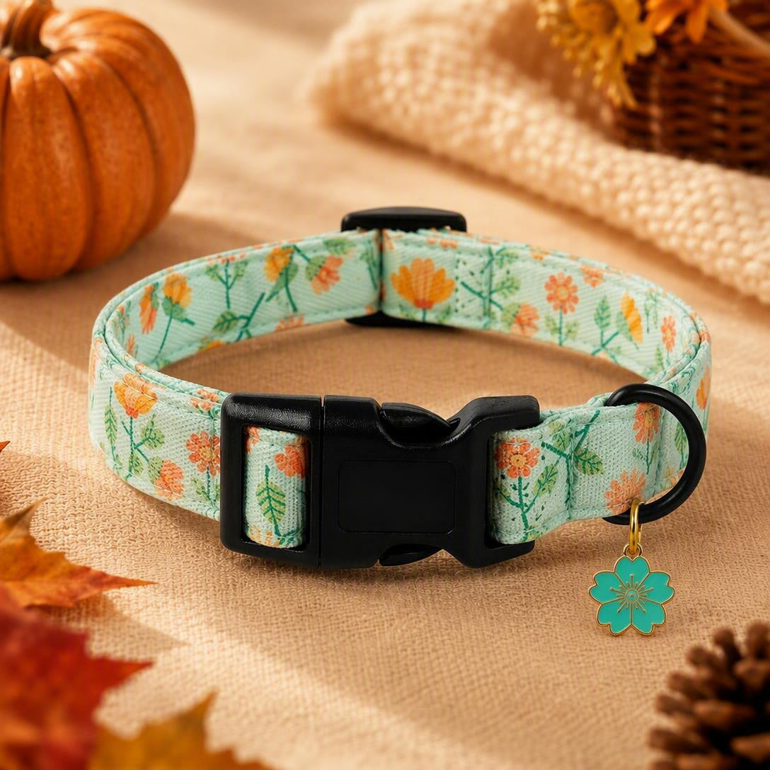 🎃Autumn Pumpkin Dog Collar — Adjustable Pumpkin and Sunflower Collar