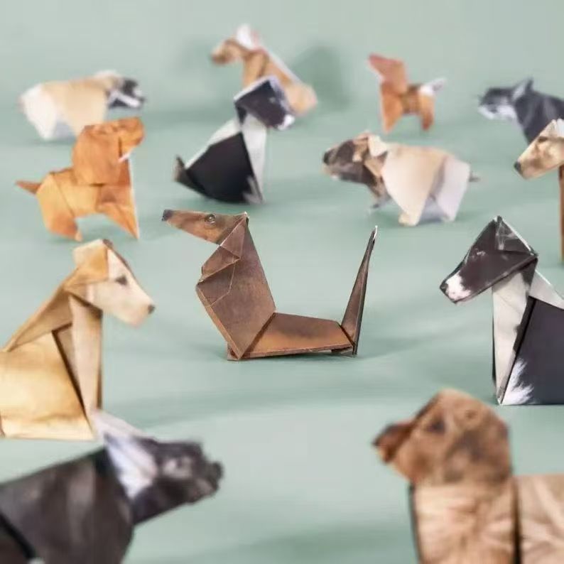 🐱✂️New DIY Paper Cat Origami Animal Set (50 Pcs)