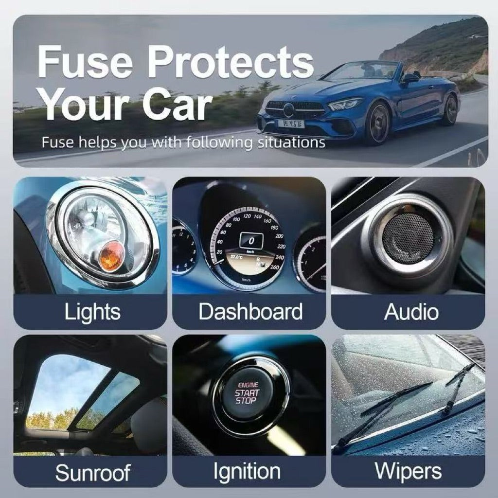310Pcs Mixed-Color Automotive Fuse Kit