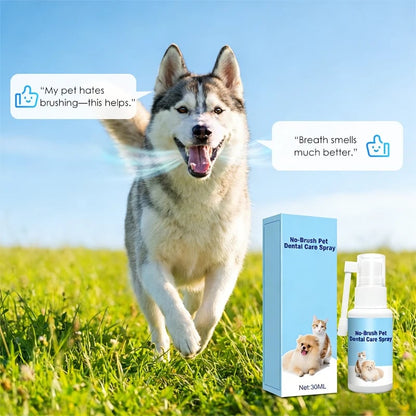 🐾🦷 No-Brush Pet Dental Care Spray – Fresh Breath Made Easy 💧✨