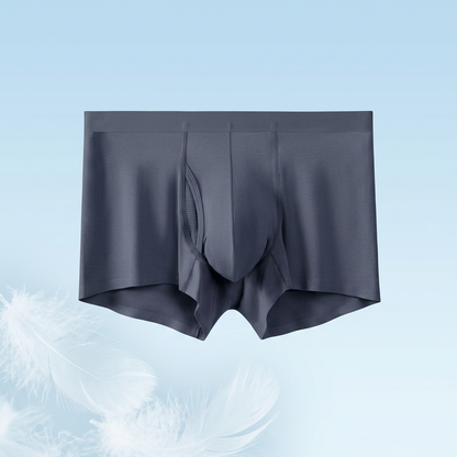 🩲Men's Ice Silk Boxer Briefs