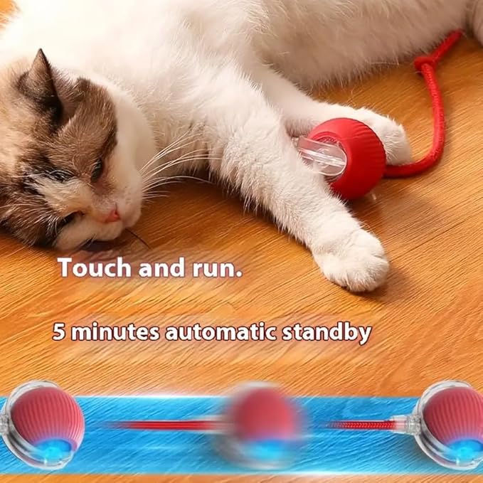 🐱Interactive Cat & Dog Teaser Toy with Tails