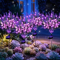 Butterfly Lavender