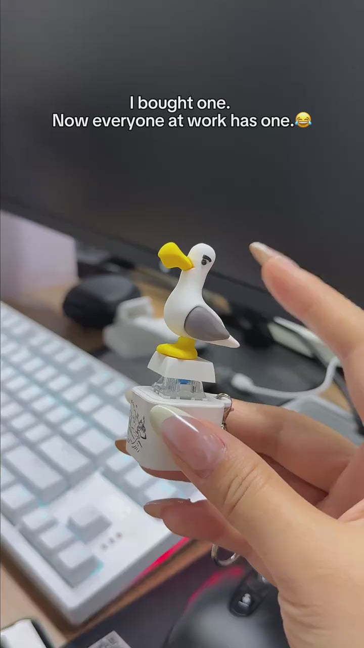 Product video preview