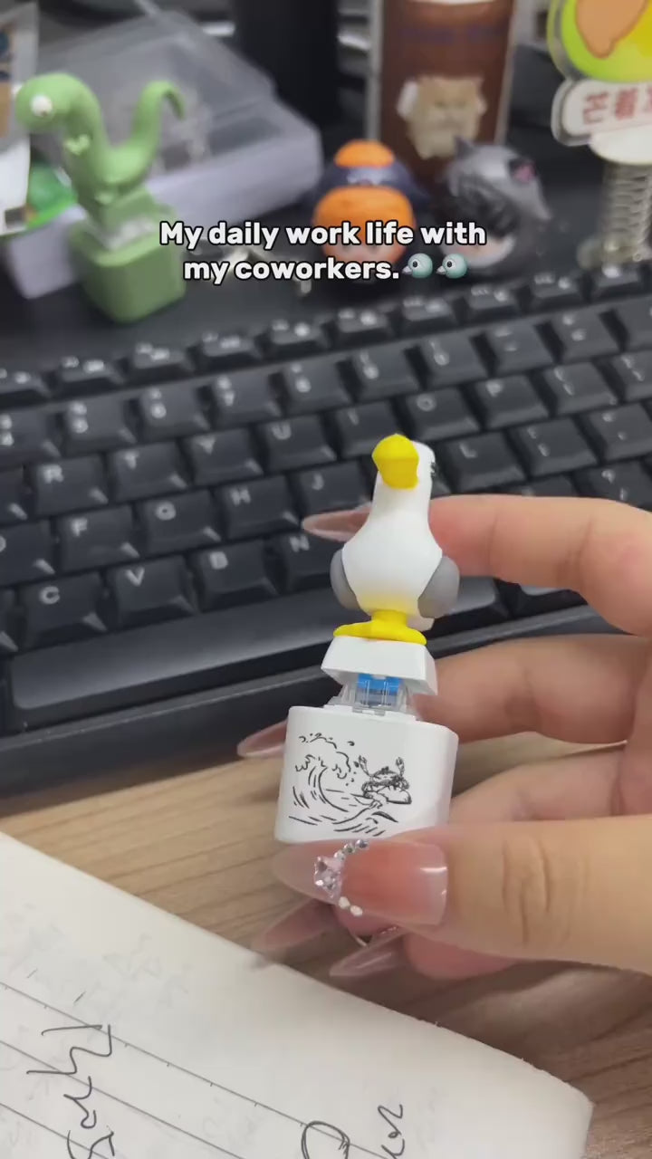 Product video preview